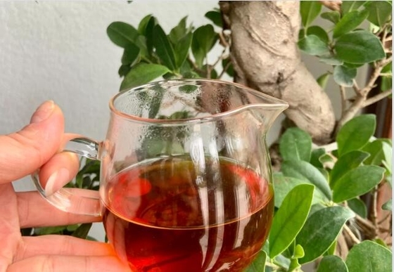 우위 바위 차 (Wuyi rock tea) 는 중국에서 유명한 전통 차이다. 그것은 바위 매치 (rock charm) 의 품질 특성을 가진 울롱 차이다.