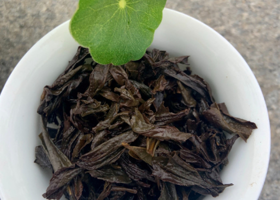 검은 차 선물 상자